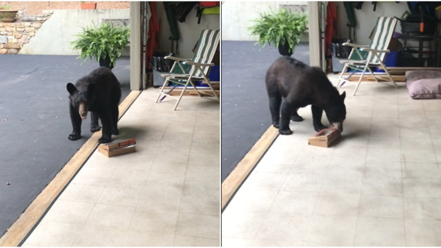 Mustat ihmiset porno videot