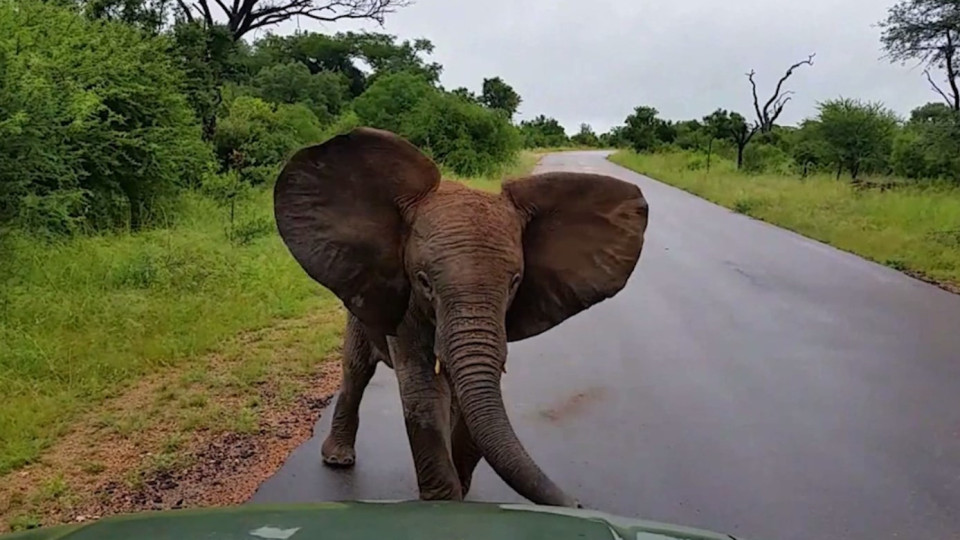 Ilmainen Lesbo Porno katsella verkossa