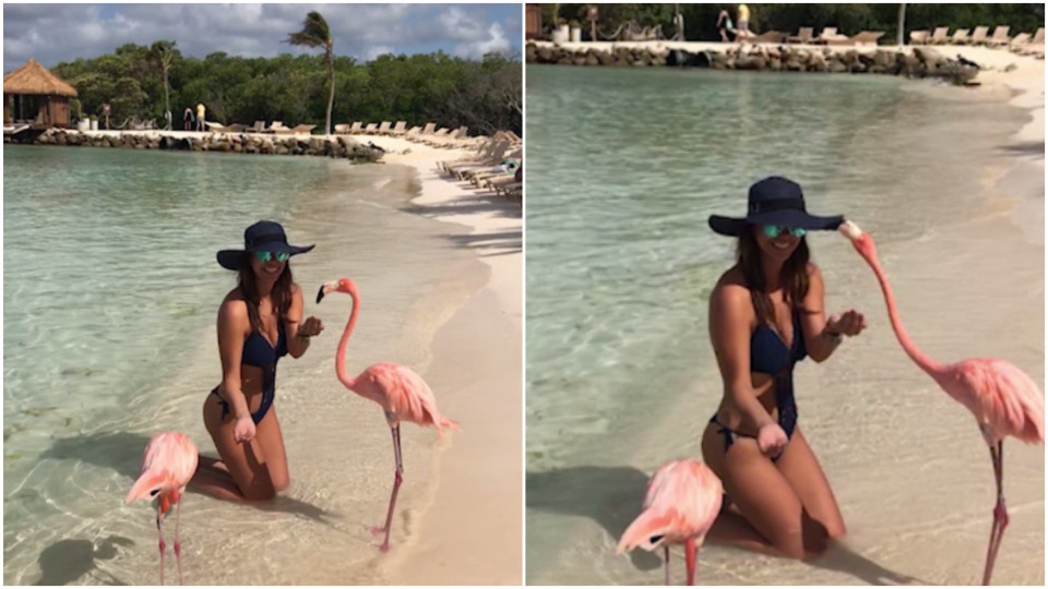 hiukset naiset pillua