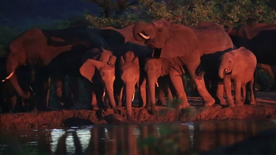 seksikäs MILF iso kalu