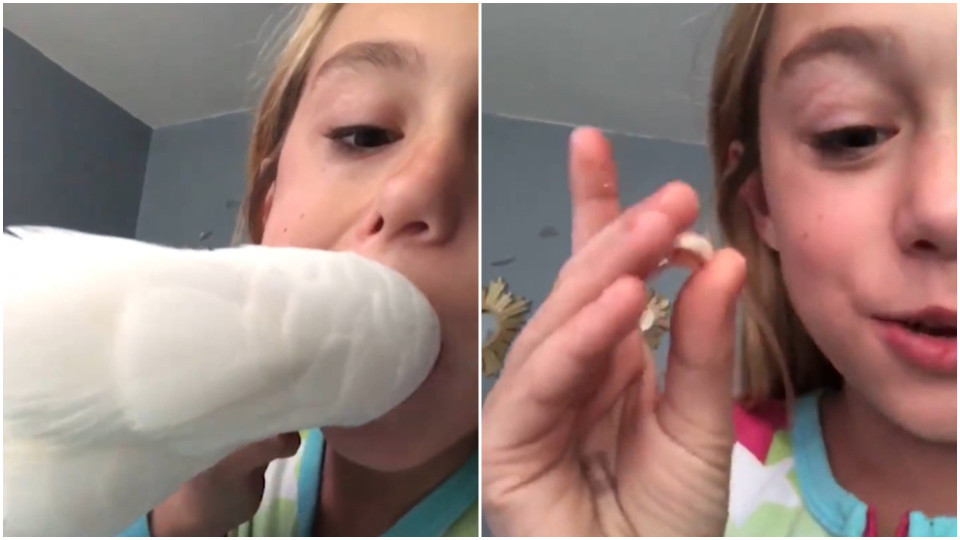 porno napa homo Thai