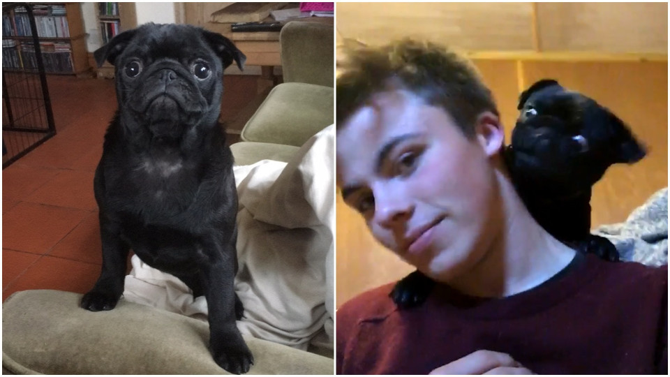 Musta lesbo porno PornHub