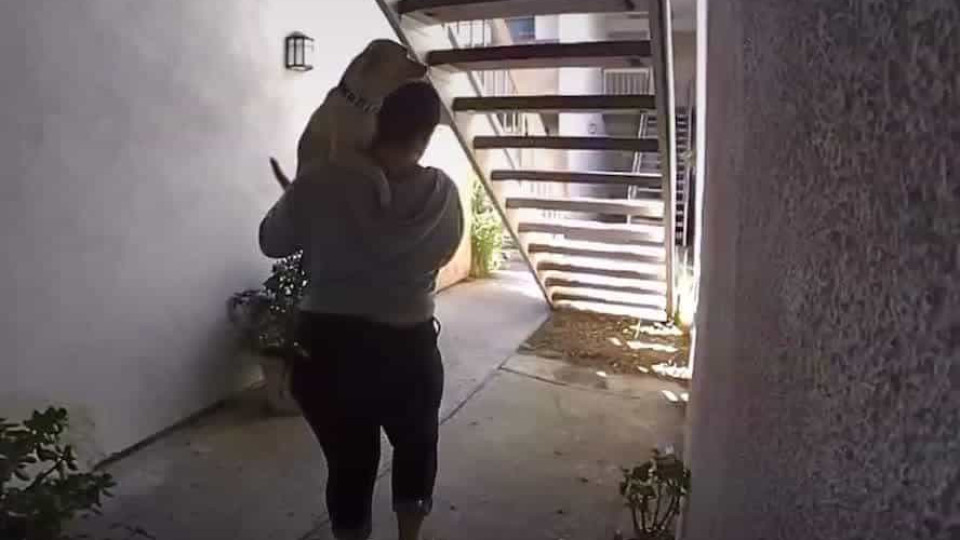 lady-leaving-while-carrying-puppy-hits-head-on-stairs-buzz-videos