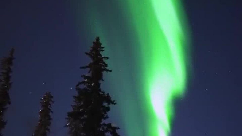 Giant Overhead Northern Lights Buzz Videos
