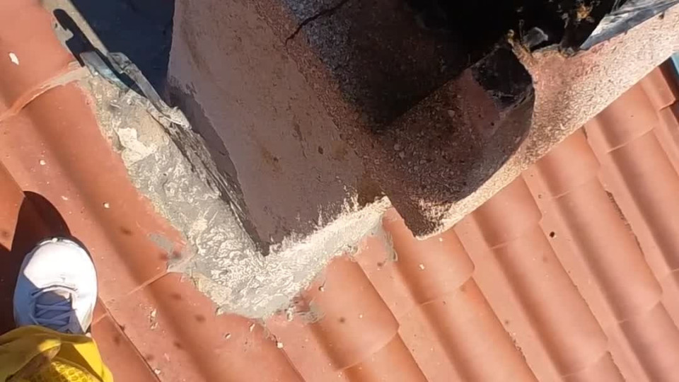 Removing a Beehive From a Chimney Buzz Videos